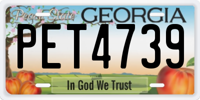 GA license plate PET4739