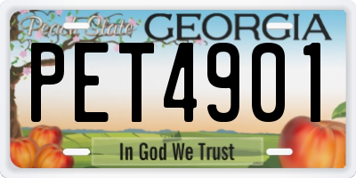 GA license plate PET4901