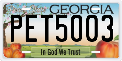 GA license plate PET5003