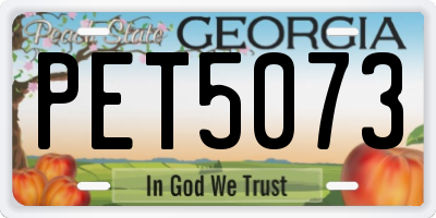 GA license plate PET5073