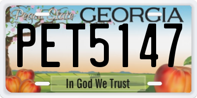 GA license plate PET5147