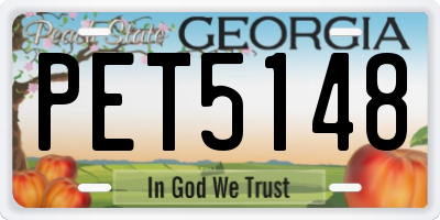GA license plate PET5148