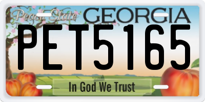GA license plate PET5165