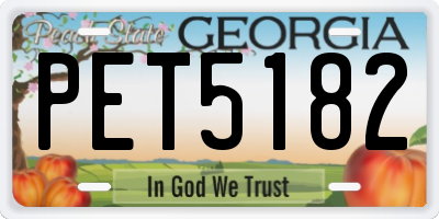 GA license plate PET5182