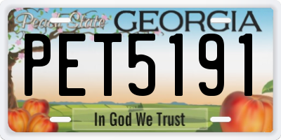 GA license plate PET5191