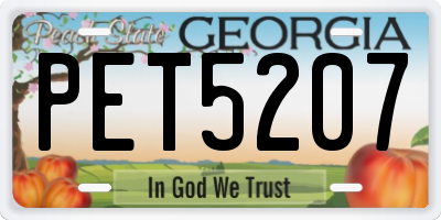 GA license plate PET5207