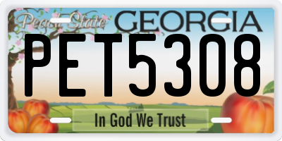 GA license plate PET5308