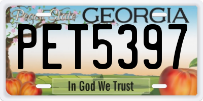 GA license plate PET5397