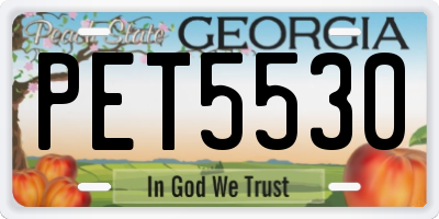 GA license plate PET5530