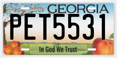 GA license plate PET5531