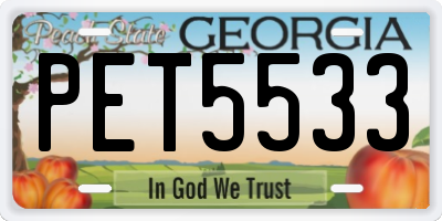 GA license plate PET5533