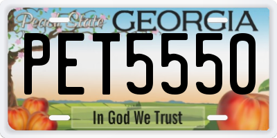 GA license plate PET5550