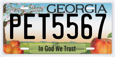 GA license plate PET5567
