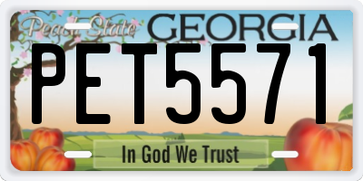 GA license plate PET5571