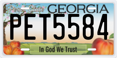 GA license plate PET5584