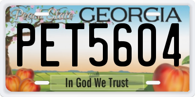 GA license plate PET5604