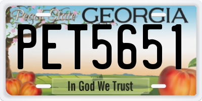 GA license plate PET5651