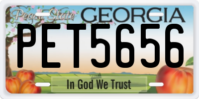 GA license plate PET5656
