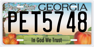 GA license plate PET5748