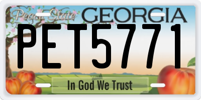 GA license plate PET5771