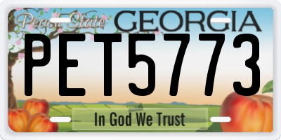 GA license plate PET5773