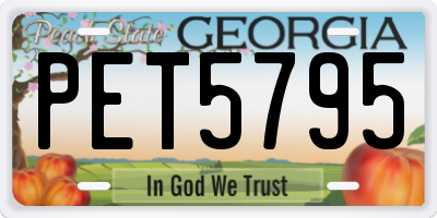 GA license plate PET5795