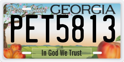 GA license plate PET5813