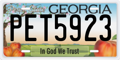 GA license plate PET5923