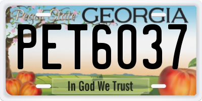 GA license plate PET6037