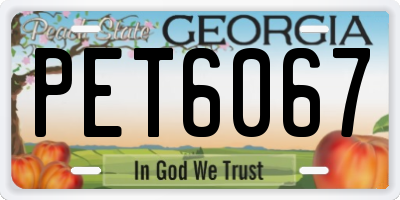 GA license plate PET6067
