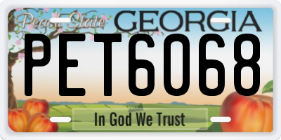 GA license plate PET6068