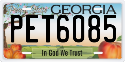 GA license plate PET6085