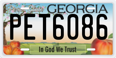 GA license plate PET6086