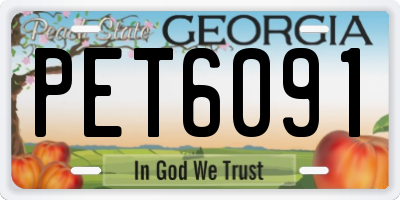 GA license plate PET6091