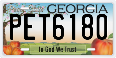 GA license plate PET6180
