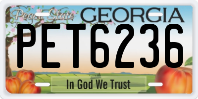 GA license plate PET6236