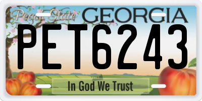 GA license plate PET6243