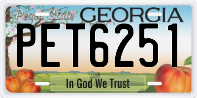 GA license plate PET6251