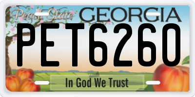 GA license plate PET6260