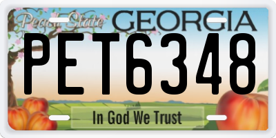 GA license plate PET6348