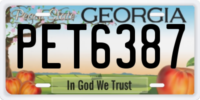 GA license plate PET6387