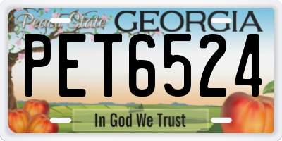 GA license plate PET6524