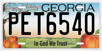 GA license plate PET6540