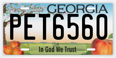 GA license plate PET6560
