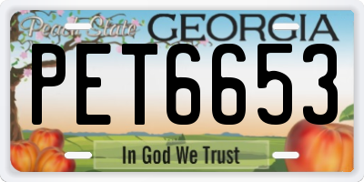 GA license plate PET6653