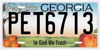 GA license plate PET6713