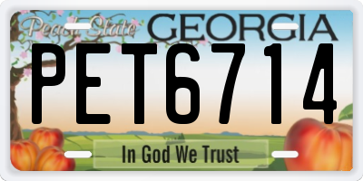 GA license plate PET6714