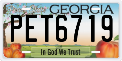 GA license plate PET6719