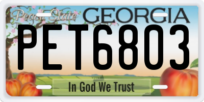 GA license plate PET6803