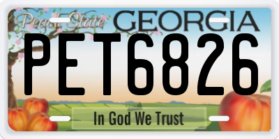 GA license plate PET6826